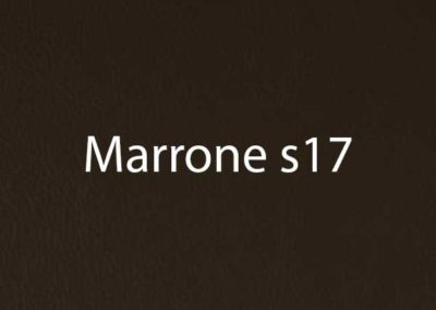 colore-Marrone-s17