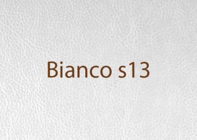 colore-bianco-s13