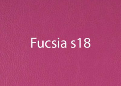 colore-fucsia-s18