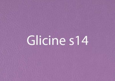 colore-glicine-s14