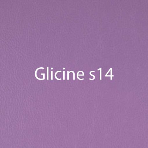 colore-glicine-s14