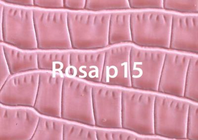 rosa-p15